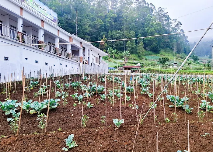 Hotel Green View Near Sarangan Lake Redpartner
