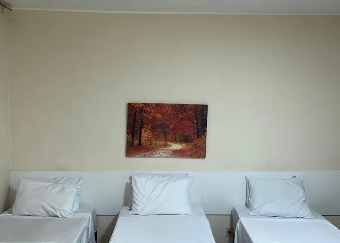 Hotel Avenida
