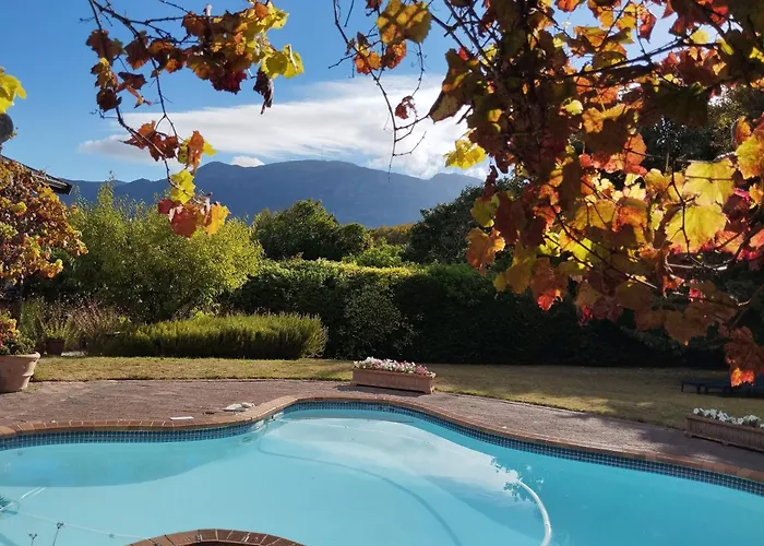 Le Petit Vignoble