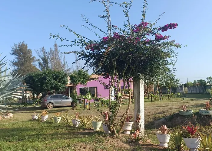 Casa Roar - Hospedagem
