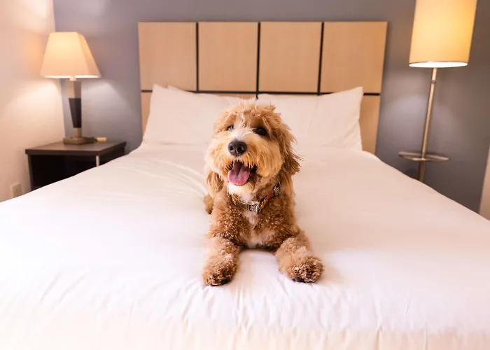Sonesta Simply Suites Oklahoma City Airport
