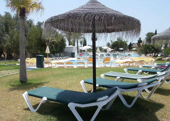 Yellow Alvor Garden