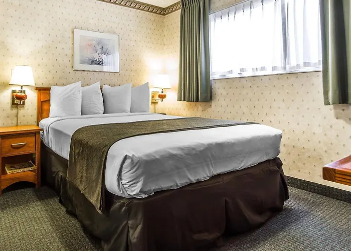 Quality Inn & Suites Silicon Valley