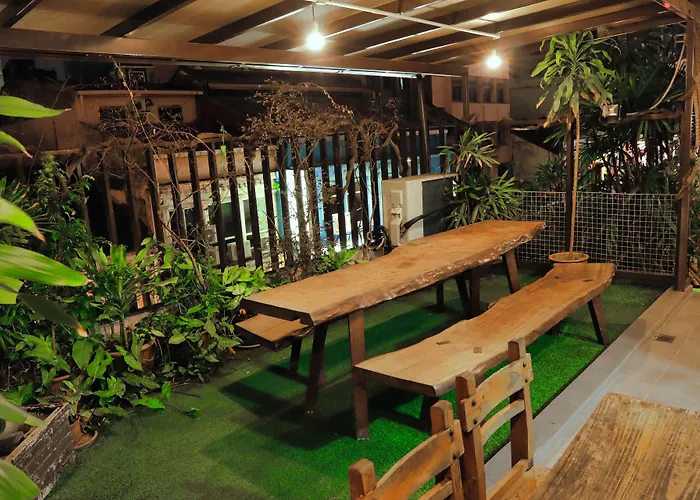 Rain Forest Hotel