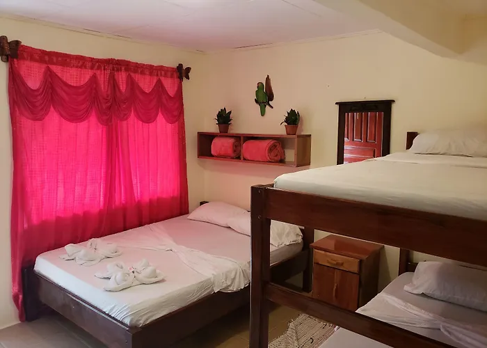 Cabinas Pura Vida B&B And Tour Operator