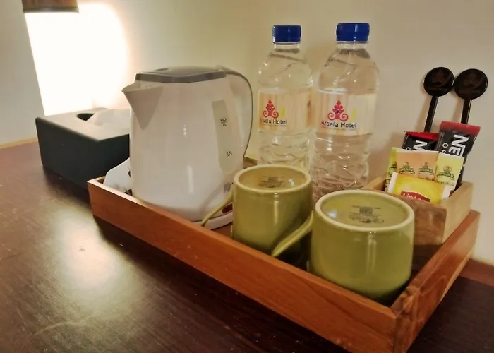 Arsela Hotel Pangkalan Bun