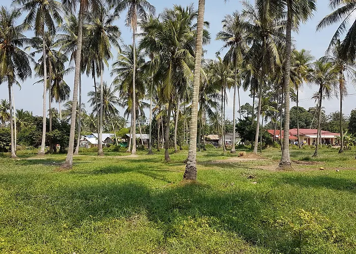 Samui Zenity