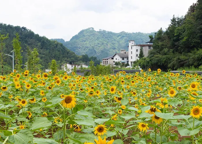 Zhangjiajie Peak&Creek Resort-Free Infinity Pool-Near The Ticket Gate-Stream Exploration Experience