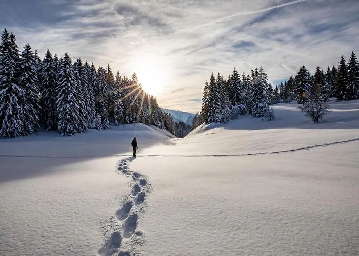 Heimat Apartments - Zillertal