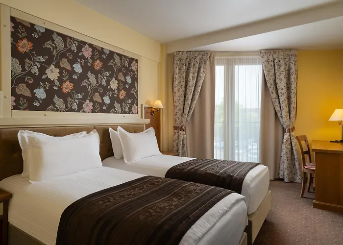 Hotel Leul De Aur