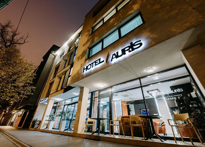 Hotel Auris