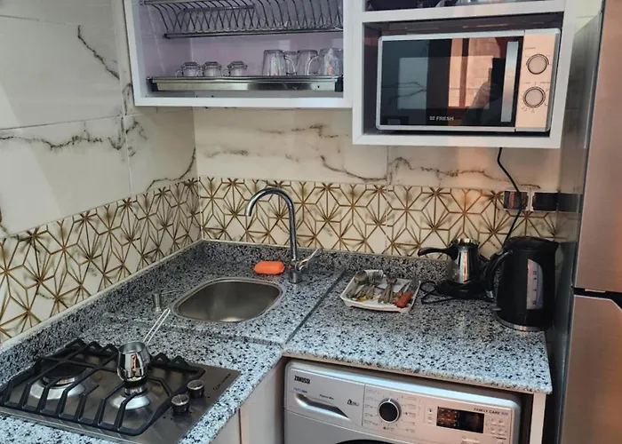 Hotel Habib Front Mansoura University Private