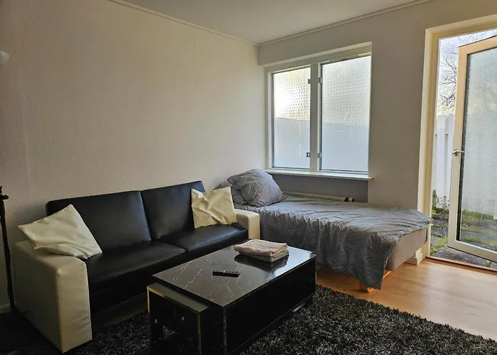 Cozy One Room Apartment