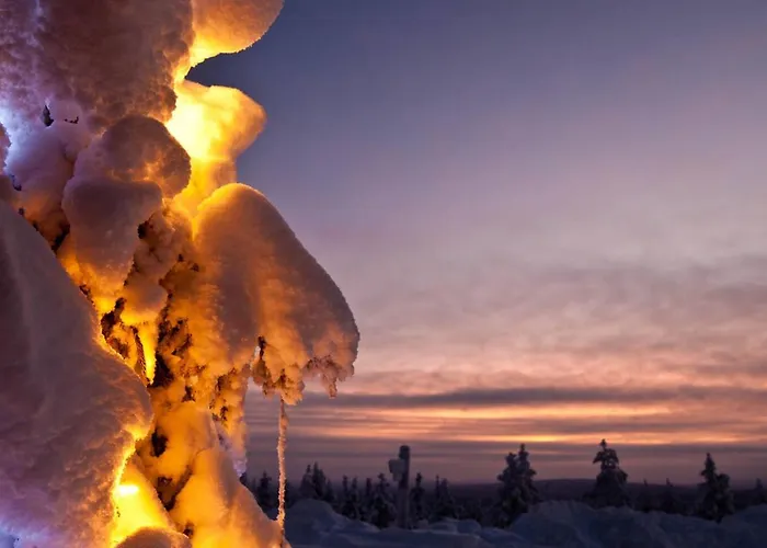 Lapland Hotels Pallas