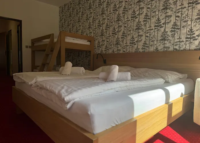 Horsky Hotel Vidly