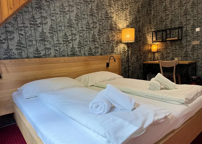 Horsky Hotel Vidly