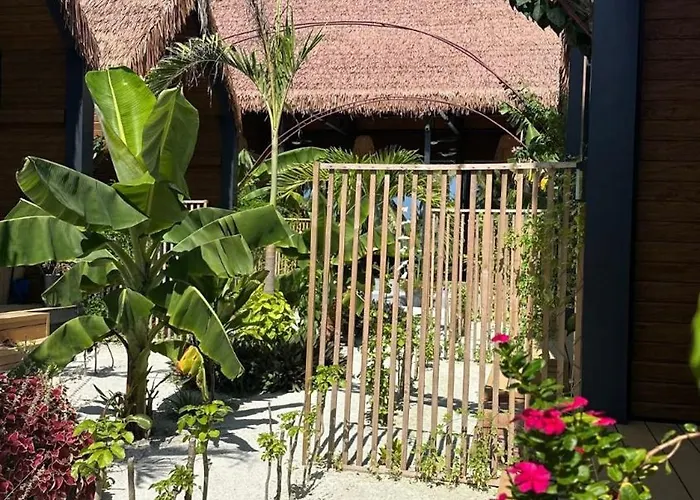 Ambra Maldives