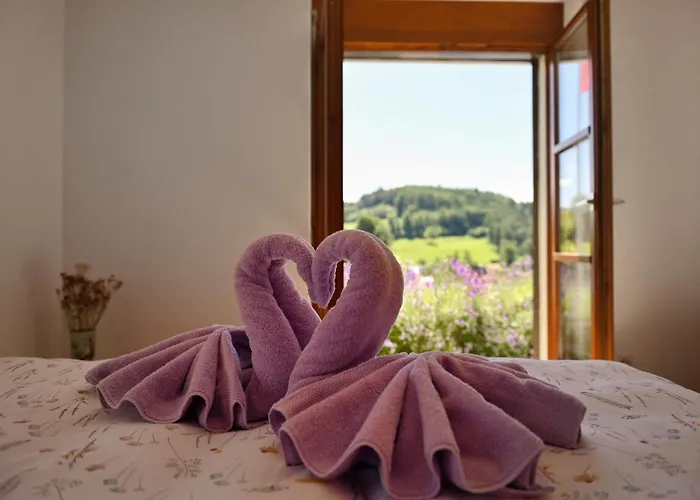 B&B Casa Solaris