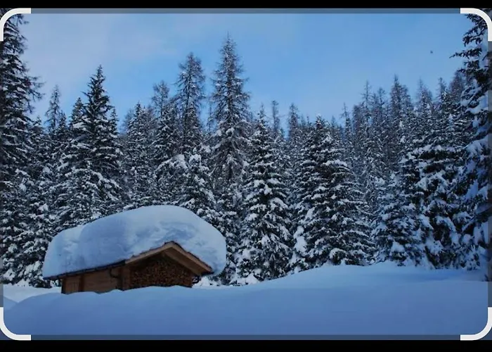 Chalet Adler