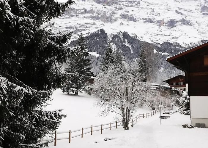 Brand New, 5Min To Ski Paradise !