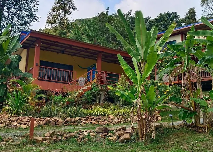 Alisa Bungalows