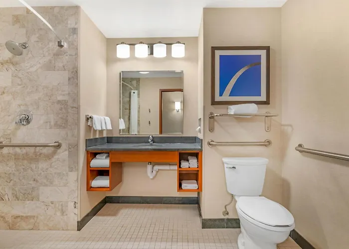 Drury Plaza Hotel St Louis Brentwood