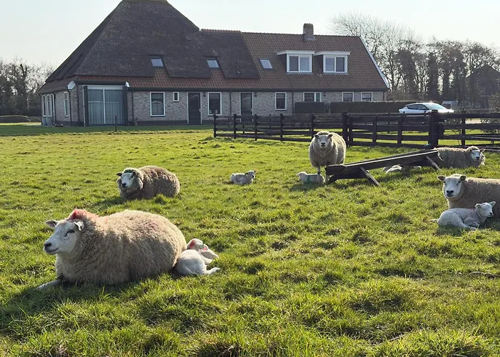 'T Lant Van Texsel