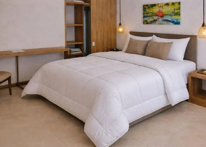 Hotel Casa Del Hidalgo Centenario - Business & Leisure