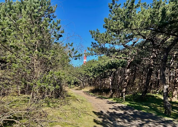 Westend Amelander Kaap 85