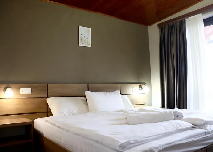 Hotel Horizont Telavi