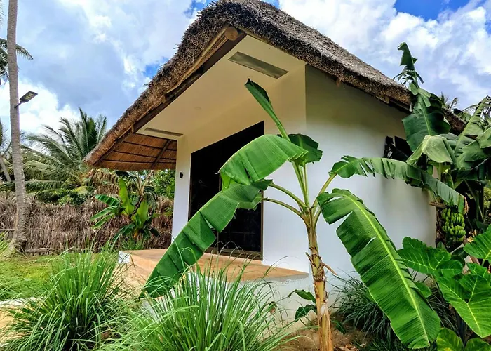 Waterfall Halal Retreat Pemba Island Zanzibar