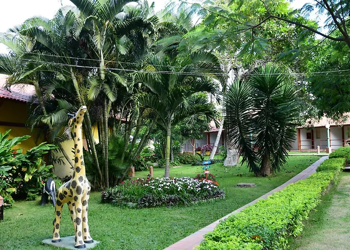 Hotel Serrano Martins