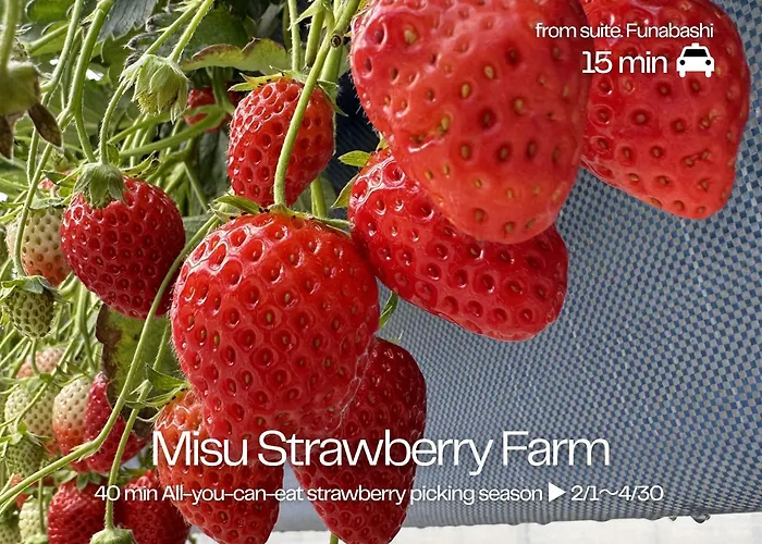 suite Funabashi SAKURA1 #102