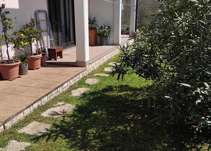 Apartments Radovic