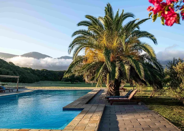 Springfontein Wine Estate