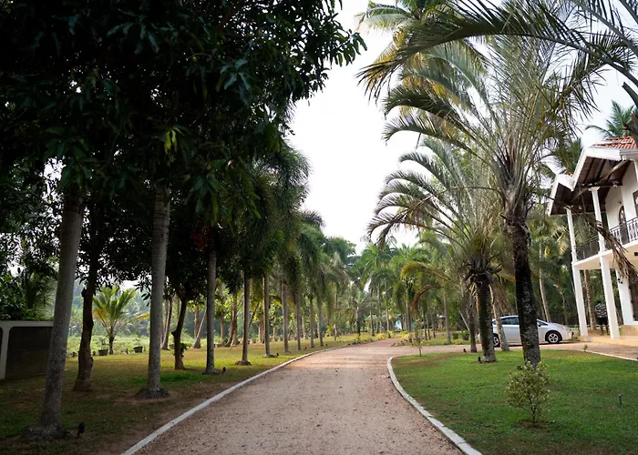 Villa Di Angelo Negombo