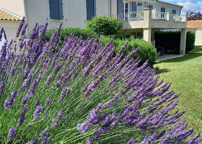 Hotel Domaine de l'Echassier, The Originals Relais à Châteaubernard