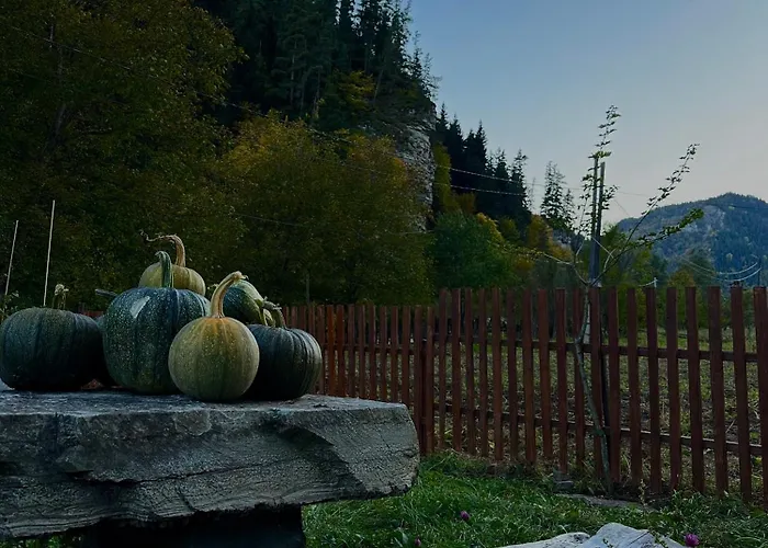 Kvela Cottage - Ყველა Კოტეჯი