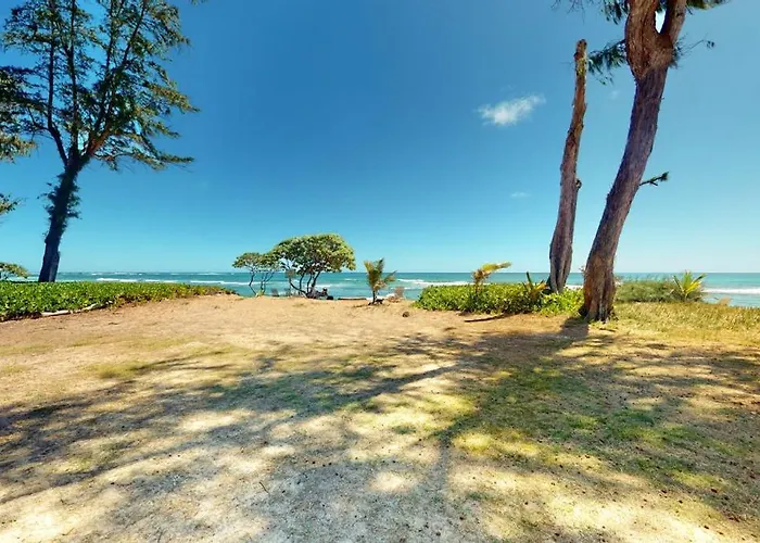 Islander On The Beach 353