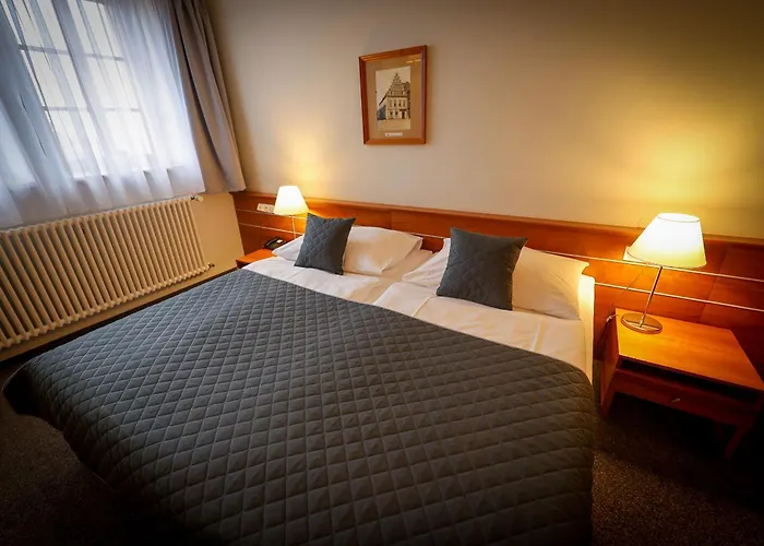 Lh Hotel Dvorak Tabor Congress & Wellness