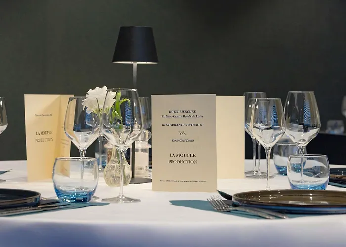 Mercure Orleans Centre Bords De Loire