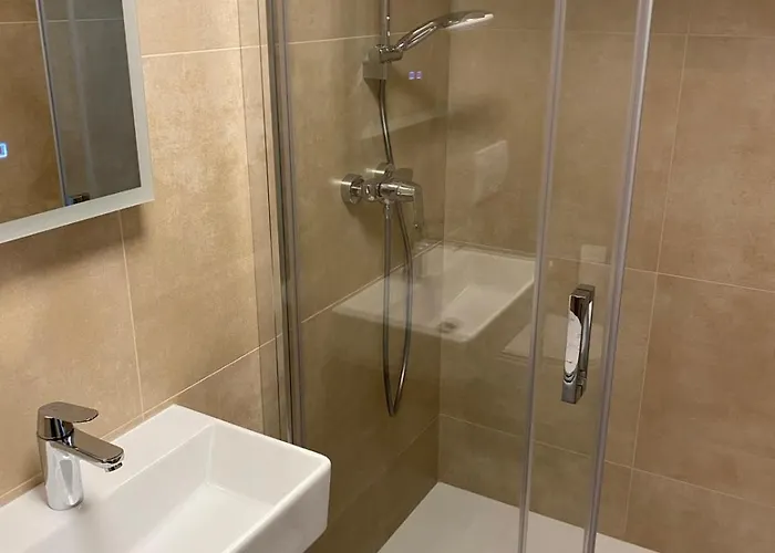 Apartment Sincic