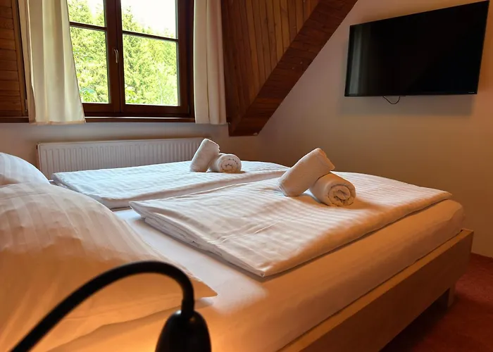 Horsky Hotel Vidly