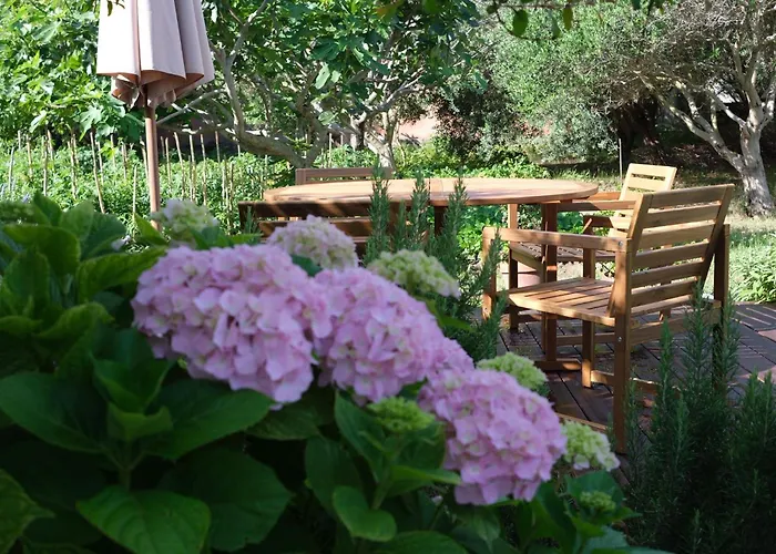 Apartments Mali Ivo