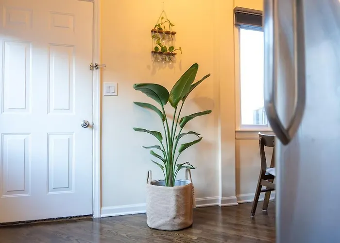 Bucktown Private Condo
