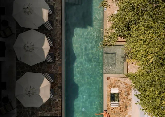 Terra Resort
