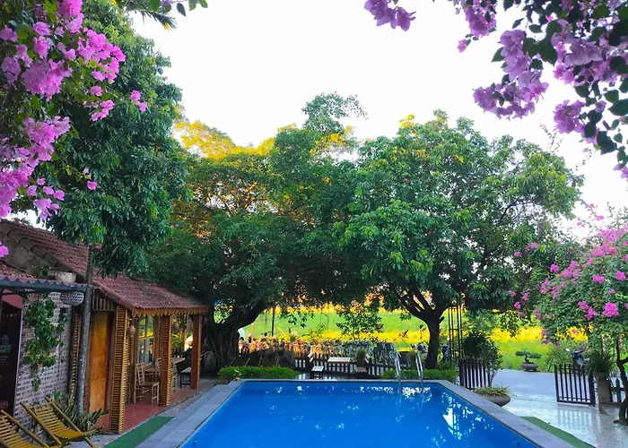 Tam Coc Sunshine Homestay