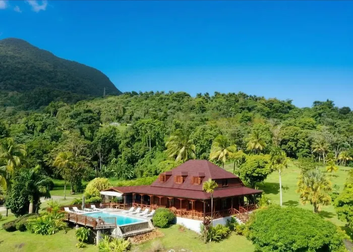 Jardin Malanga