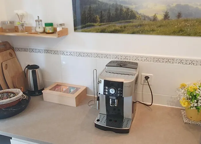 Stilvolle Apartments im Gertrud Schlössli - zentral ruhig