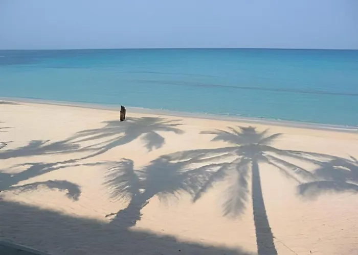 Palm Grove Saud Holiday Complex Hotel